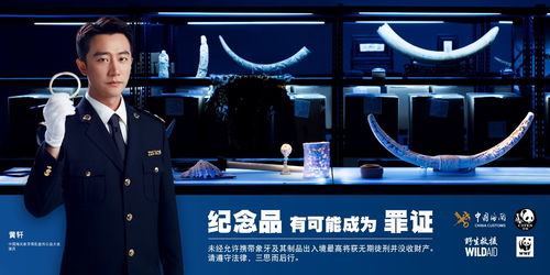象牙禁贸一周年 海关严打走私，全面封堵违法广告